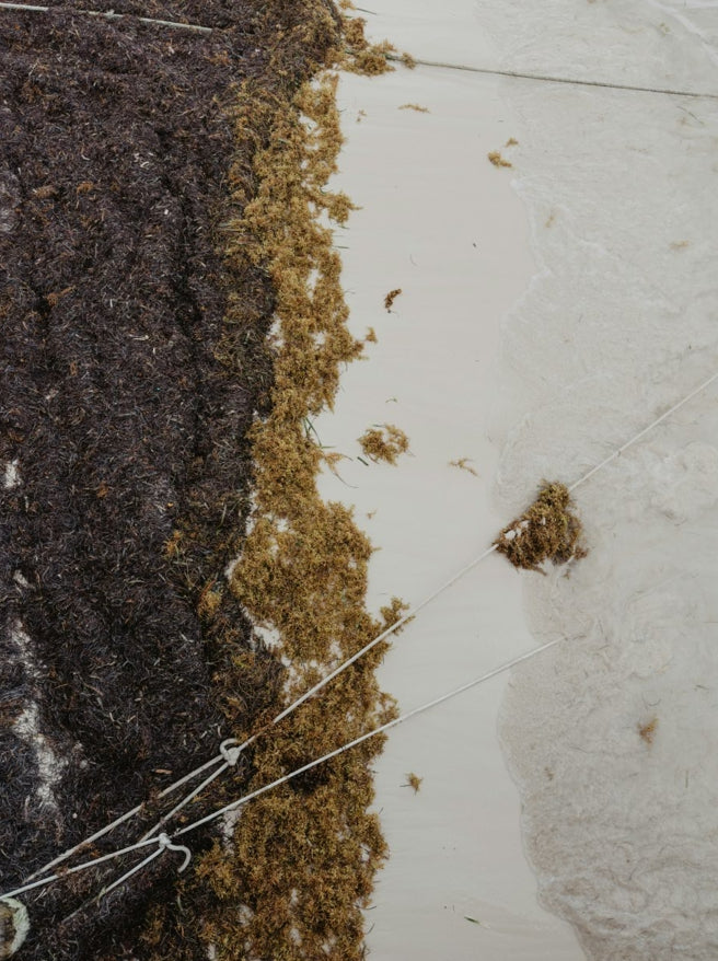 String-Wound Sediment Filters: How They Work and When to Use Them