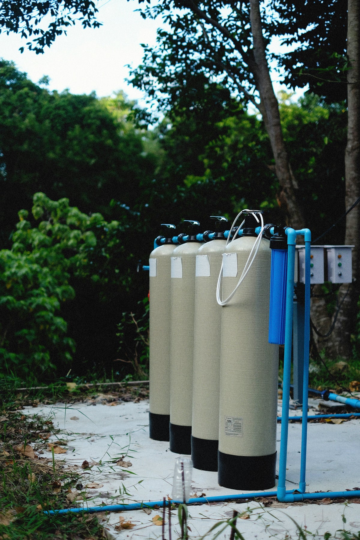 A Homeowner's Guide to Buying Whole House Water Filter Replacements