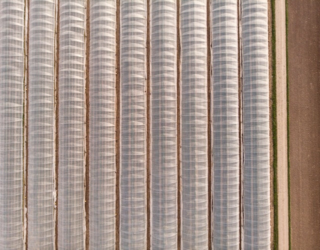 Bulk Air Filter Packs: How Many Replacement Filters Should You Keep at Home?