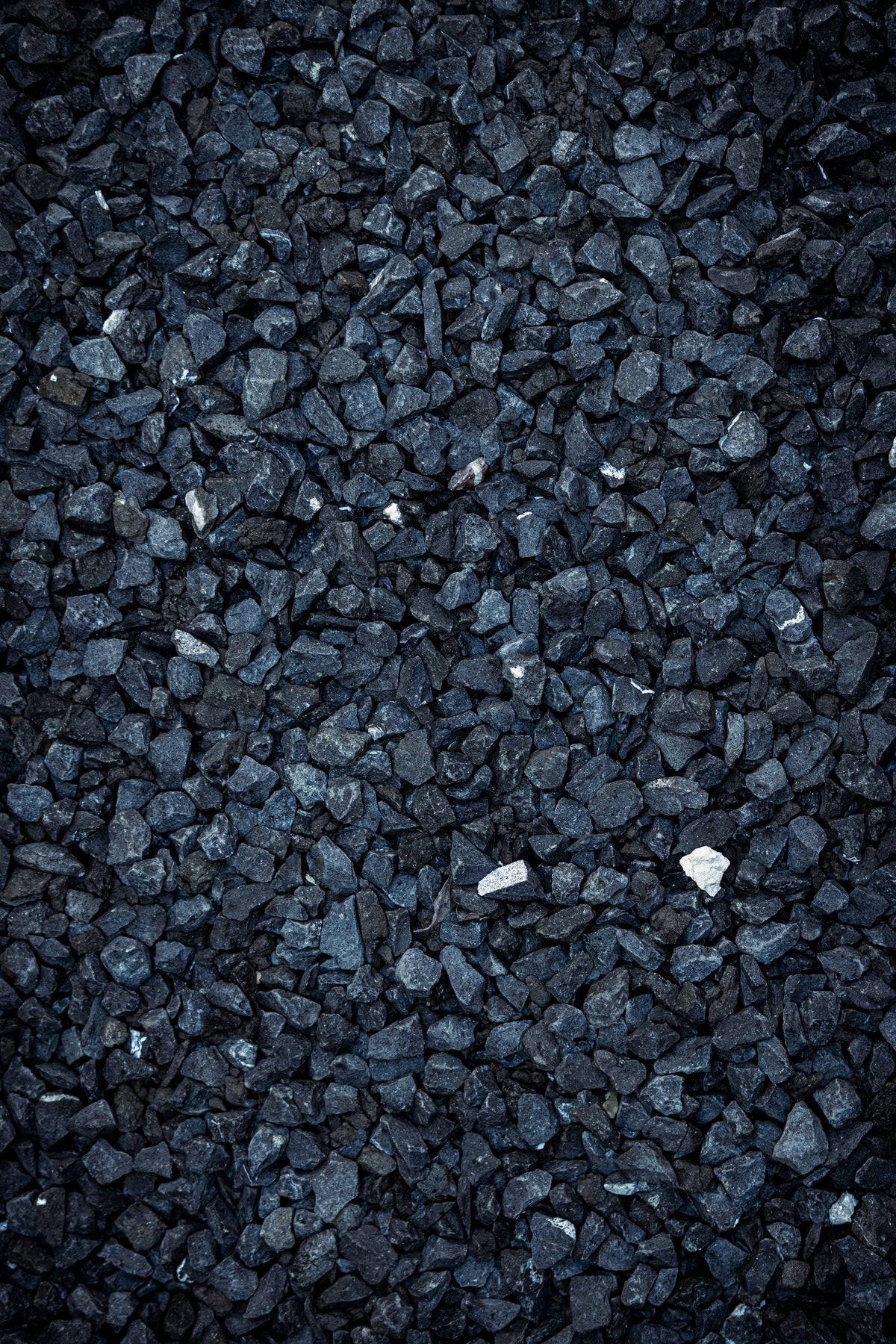 Activated Carbon for Water Filtration: GAC, Carbon Block, and Bulk Media