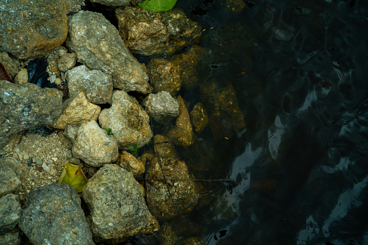 Fluoride and Carbon Filtration: Understanding Filter Media Options
