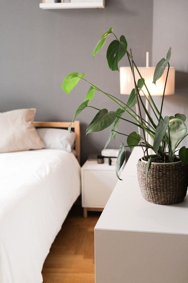 Air Filtration for Home Offices: Creating a More Comfortable Workspace