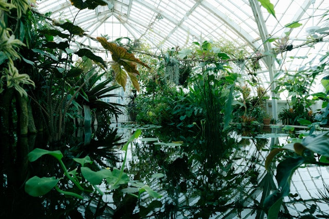 How to Plan a Patio Misting System for a Garden, Pool, or Greenhouse