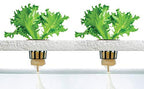 4 Stage - Hydroponics Reverse Osmosis Water Filtration System | 100 GPD | Water Purifier for Indoor or Outdoor Garden Use | Hydroponics Growing System by Oceanic Water Systems.