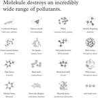 Molekule Air Pre-Filter - Authentic Molekule High Efficiency Pre-Filter Replacement System - Captures Pet Hair, Dust & Large Particles - Purifier Maintenance for Improved Air Quality - 2-Pack