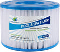 F4Y- PLF-INTS1 Pool Filter Replacement Compatible with All Pure Spas Models Including 28403E, 28407E, 28443E, 28453E, 28421E, 28423E, 28413E, and 28453E Filter Cartridges (12 Pack)