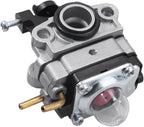 753-06258A Carburetor for Ryobi RY252CS RY253SS RY251PH RY254BC 2 Cycle 25cc Gas String Trimmer Craftsman MTD Cultivator Edger Engine Carb with Air Filter Tune-Up Kit