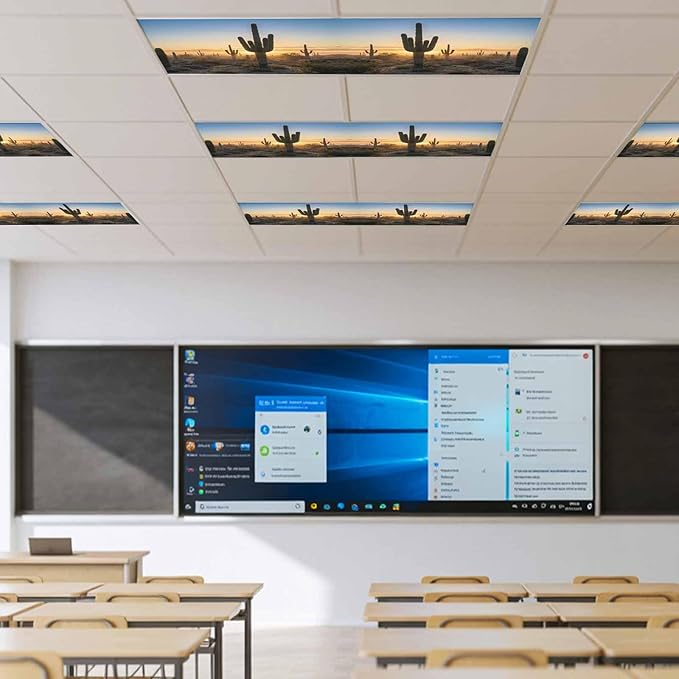 Fluorescent Light Covers for Drop Ceiling Desert Cactus Sunset Magnetic Light Filters, Tropical Plant Natural Scenery Ceiling Shade Filters for Home Classroom Office,2x4 ft,1Pack