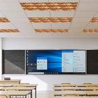 Tropical Plant Cactus Fluorescent Light Covers 2 Pack Western Cowboy Horse Sunset Deserts Brown Magnetic Fluorescent Ceiling Lights Filters for Office Classroom Home Drop Ceiling 4x2 Feet