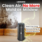 LabCharge Small Ionic Air Purifier for Home & Bedroom – Silent HEPA Filter – Covers 250 Sq Ft - Free Cleaner for Pets, Hair, Smoke, Dust, Odors & Dander – Compact & Black Design - Pack of 5