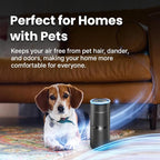 LabCharge Compact Air Purifier - Covers 250 Sq Ft - Ideal for Bedroom or Dorm Room - Silent HEPA Filter Captures Dust and Pollutants - Portable, Mini Air Purifier for Small Spaces