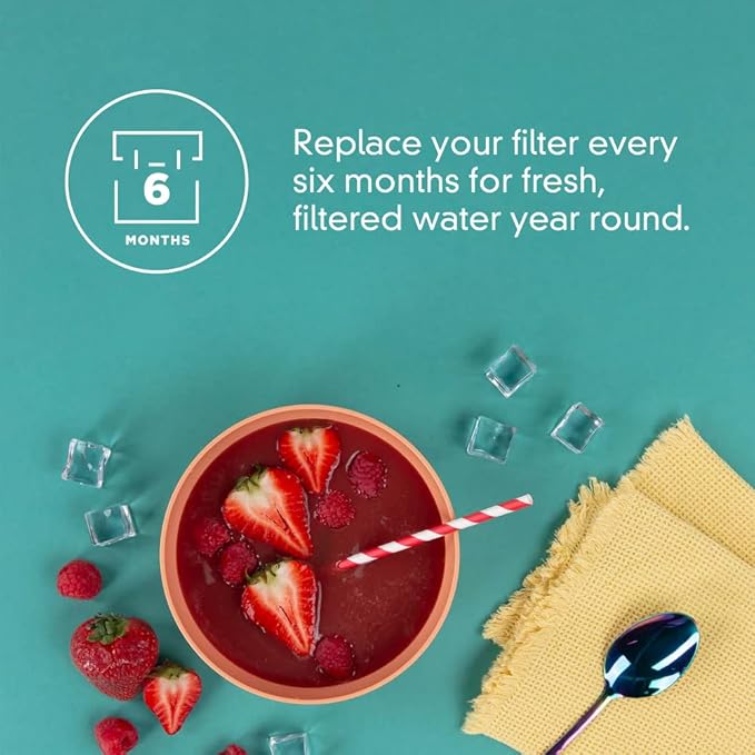 everydrop® by Whirlpool Ice Filter, F2WC9I1, Singl (Pack of 6)