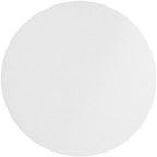 OMICRON 170047N Nylon Membrane Filters, 47mm, 0.8um, (Pack of 100) (Closely Similar to 28159-768)