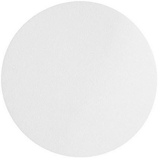 OMICRON 170047N Nylon Membrane Filters, 47mm, 0.8um, (Pack of 100) (Closely Similar to 28159-768)