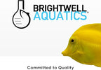 Brightwell Aquatics - Xport-BIO Block Aquarium Filter - Biological Filtration Media for Bacteria Growth, Nutrient Control & Control of Unwanted Nutrients - Aquarium Water Treatments, 4 Pack, 1.5 inch