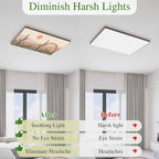 Fluorescent Light Covers for Ceiling Lights Cactus Desert Magnetic Light Filters 2 Pack 4x2 ft Sun Mountain Rainbow Bohemian Style Ceiling Lights Cover for Classroom Office School Home Drop Lamp Decor