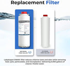 Water Filter Replacement Compatible With Elkay 51600C EWF6000 Bottle Filling Stations, 6000 Gallons/12 Months (No Chip - 1 Pack)