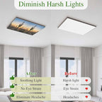 Fluorescent Light Covers for Drop Ceiling Desert Cactus Sunset Magnetic Light Filters, Tropical Plant Natural Scenery Ceiling Shade Filters for Home Classroom Office,2x4 ft,4Packs