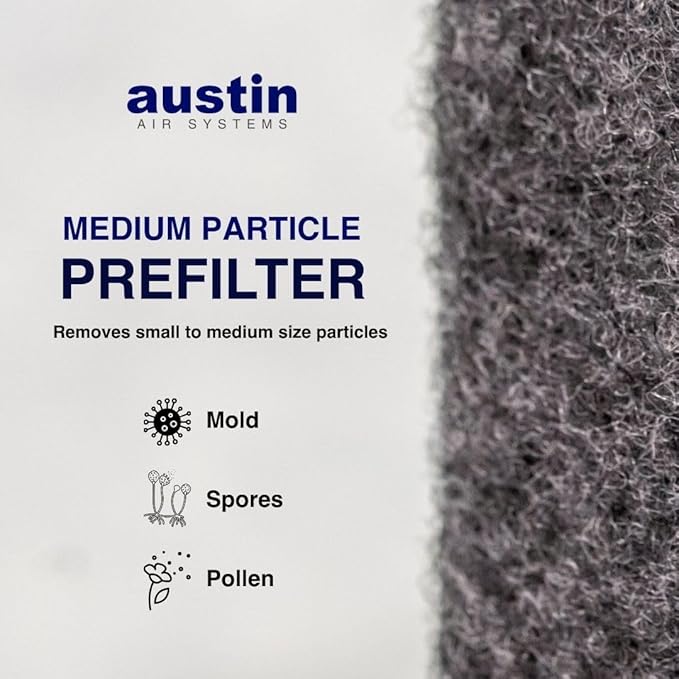 Austin Air Bedroom Machine 5 Stage Replacement Filter, White – Zeolite with HEGA cloth, Air Filters for Home, and Carbon Filter Replacement for Superior Air Quality, Model FR402