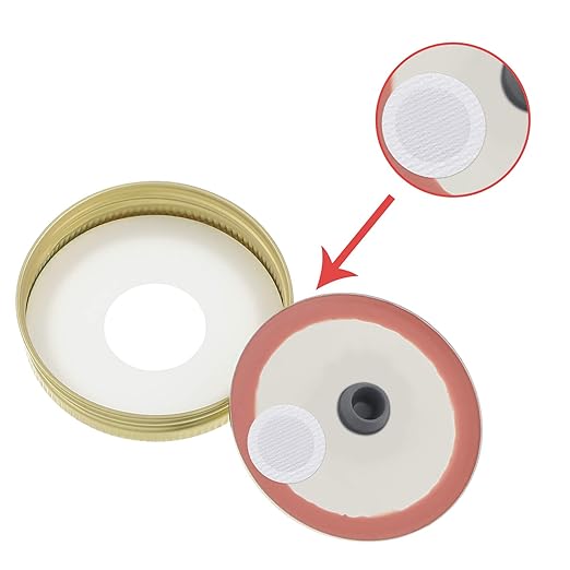Zonon 256 Pieces Synthetic Filter Paper Stickers 20 mm 0.3 ?m Synthetic Filter Disc Tape Mushroom Applied Under Wide Mouth Mason Jar for Mushroom Cultivation