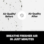 PuroAir 240 Replacement Filter - HEPA Filters up to 99.9% of Smoke, Pollen, Dust and Common Household Pollutants - HEPA Air Filter Replacement for PuroAir 240 Air Purifier (2 Pack)