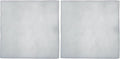 iPower 4 Inch Replacement Pre-Filter for 4" Carbon Filter (Pack of 2)