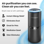 LabCharge Small Ionic Air Purifier for Home & Bedroom – Silent HEPA Filter – Covers 250 Sq Ft - Free Cleaner for Pets, Hair, Smoke, Dust, Odors & Dander – Compact & Black Design - Pack of 2