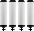 【Upgraded】Renami Ceramic Filter Silver Infused Replacement for BB9-2® Black Activated Carbon Filters, Compatible with Berkey® Travel, Large, Royal, Crown Series, Repeatable Cleaning Filters, Pack of 4