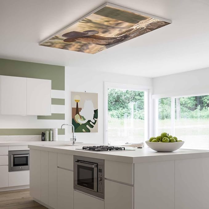3 Pack Fluorescent Light Cover, Cowboy Western Light Covers for Ceiling Lights, Cowboy Hats Boots Desert Cacti Vintage Magnetic Lights Filters Ceiling Shade for Classroom/Office - 4 x 2 Feet