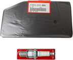 KINDZA Genuine Tune up kit for EB5000i EM5000is EB7000i EU6500is EM7000is Generator with Air Cleaner Element 17211-Z11-000 44 fl.oz Genuine Motor Oil 10W30 Spark Plug 98079-55846 BPR5ES