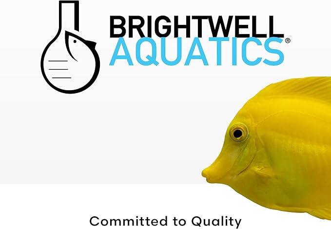 Brightwell Aquatics - Xport-BIO Block Aquarium Filter - Biological Filtration Media for Bacteria Growth, Nutrient Control & Control of Unwanted Nutrients - Aquarium Water Treatments, 8 Pack, 1.5 inch