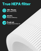 Leemone 4 Pack Core Mini Replacement Filter for LEVOIT Core Mini Air Purifiers,High-Efficiency Activated Carbon