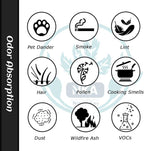 NKA AER.1 HAPF30AS for Holmes Air Purifier 3-in-1 Smoke Grabber HEPA Activated Carbon Filter Replacement Compatible with Smoke Grabber AER.1 HAPF30AS-U4R Air Purifier - 10" x 4.6" x 1.38", 1 Pack