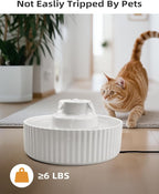 Ceramic Cat Water Fountain, 2.1L/71oz Cupcake Pet Water Fountain for Cats and Dogs, Automatic Pet Drinking Fountain with Pump, Filter & Foam (White)