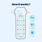 Whole House/RV Water Filter Housing Clear, 10" X 2.5" Inline Sediment Water Filter for RV, Home, Garden, Aquarium, 3/4" NPT Brass Port, R-Type O-Ring, Heavy Duty Bracket, with PP Filter - 1025CBP