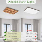 Tropical Plant Cactus Fluorescent Light Covers 4 Pack Western Cowboy Horse Sunset Deserts Brown Magnetic Fluorescent Ceiling Lights Filters for Office Classroom Home Drop Ceiling 4x2 Feet