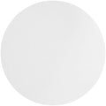 Whatman 1003-090 Quantitative Filter Paper Circles, 6 Micron, 26 s/100mL/sq inch Flow Rate, Grade 3, 90mm Diameter (Pack of 100)