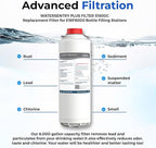Water Filter Replacement Compatible With Elkay 51600C EWF6000 Bottle Filling Stations, 6000 Gallons/12 Months (No Chip - 2 Pack)