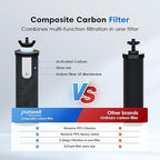 Purewell 6-Stage Alkaline Water Filter System, 0.01μm Ultra-Filtration Countertop System with 4 Filters, Metal Water Level Spigot and Stand, pH 8-9, 2.25G, PW-OB-PH