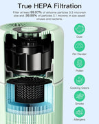 2 Pack Air Purifier for Home Bedroom with H13 True HEPA Filter for Smoke, Smokers, Dust, Odors, Pollen, Pet Dander | Quiet 99.9% Removal to 0.1 Microns | Green Available for California