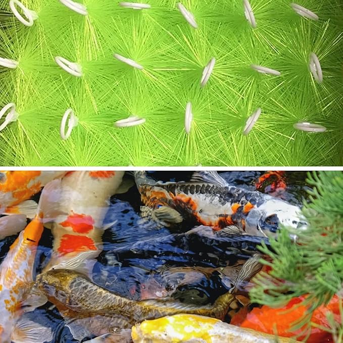 50 Packs Filter Brushes Aquarium Brushes Set for Koi Pond Water Garden Outdoor Pond Skimmers Brush Filter Cleaning Brush 35.5 Inch by 4.7 Inch (Green)