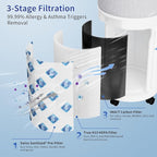 Genuine CleanForce AllerSync MaxPure H13 True HEPA Sanitized Air Filter for Rainbow Series, filters Dust, Somke, Pollen, Lint, Allergens, Pet Hair Dander and Odors