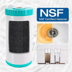 H&G Lifestyles Whole House Water Filter for Well Water,Reduce Iron Manganese Fluoride GAC KDF Water Filer Cartridge, Chlorine Odor Heavy Metal Lead, Replacement for Any 10" x 4.5" Water Filter System