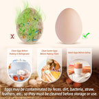 Egg Washer for Fresh Eggs, Egg Scrubber for Fresh Eggs, Egg Brush for Cleaning Fresh Eggs, Egg Cleaner Scrubber, Easter Gifts Creative Chicken Shape Egg Wash Brush Silicone Washing Egg Tool - White