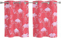2 Panel Kitchen Cafe Curtains, Desert Camel Sunlight Filtering Nature Air Through, Home Decor Window Covering Tier Curtains for Living Room 55W x 39L inch Summer Sand Camel Animal Vintage Pink