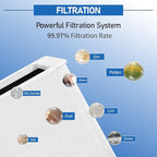 3 Pack 211+ Replacement Filters Compatible with Blue Pure 211+ Air Purifier, Consists of H13 True Filter and Activated Carbon, Collapsible Air