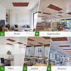 Cowboys Horses 4 Pcs Fluorescent Light Covers 4 x 2 Feet, Desert Ethnic Winds Dark Brown Background Covers for Ceiling Lights Magnetic Light Cloth Filter for Classroom Office Home