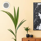 SABA Home Decor Air Vent Cover Grille - Acrylic Plexiglass 8 Round Duct Opening (10 Round Overall) White Finish Decorative Register Covers for Walls and Ceilings NOT for Floor USE, Venetian (1PCs)
