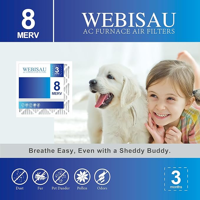 10x10x1 Air Filter MERV 8 MPR 600 4Pack Furnace Filters Pleated HVAC AC Furnace Air Conditioner Filters (Exact size: 9 3/4"x9 3/4"x3/4")