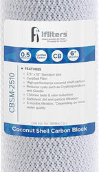 iFilters 0.5-Micron Carbon Block Water Filter – Coconut Shell CTO Drinking Water Filter Cartridge – 10-inch Replacement for Filtration Systems – Reduces Odors, Chlorine Taste – 2.5" x 10" (2 Pack)